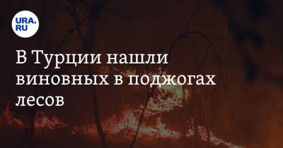 В Турции нашли виновных в поджогах лесов. «Хотели огнем поставить страну на колени»