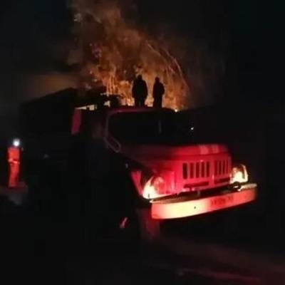 Крупный пожар возник в районе СНТ "Урал" в Оренбурге