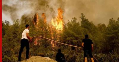 СМИ: "Дети огня" взяли ответственность за поджоги лесов в Турции - profile.ru - Турция - Курдистан - Turkey - провинция Мугла