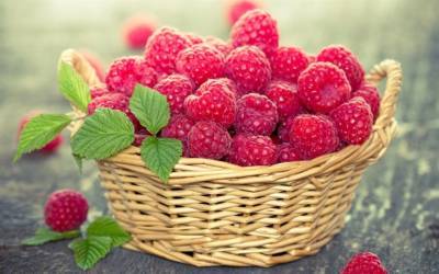 Польза летней ягоды. Как малина поможет здоровье сохранить