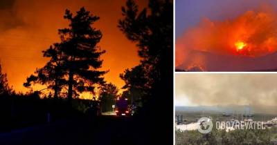 Лесные пожары в Турции – задержан подозреваемый в поджогах, последние новости, фото и видео