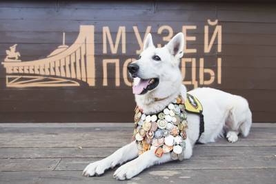 Рисунки москвичей вошли в виртуальную выставку о фронтовых собаках