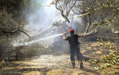 Греция все еще борется с лесными пожарами. Премьер страны извинился за неудачи в тушении