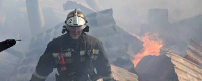 В Новосибирской области пожарные на прошлой неделе спасли 17 человек