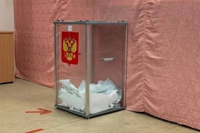 Избирком зарегистрировал кандидатов на довыборы в заксобрание Забайкалья