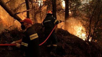 Премьер Греции назвал лесные пожары в стране бедствием беспрецедентного масштаба