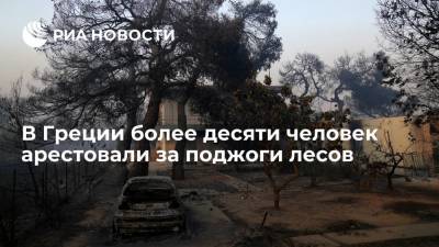 Пожарная служба Греции: более десяти человек за три дня арестованы за поджоги лесов