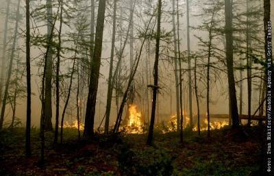 Дым от лесных пожаров сохраняется в 869 населенных пунктах Красноярского края
