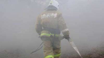 Парашютисты-десантники Авиалесоохраны помогают тушить пожар в Мордовском заповеднике