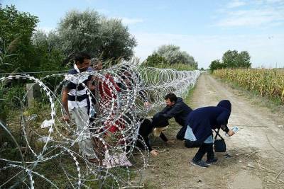 Миграционный кризис: нелегалы протаптывают дорогу из Беларуси в Польшу и Латвию