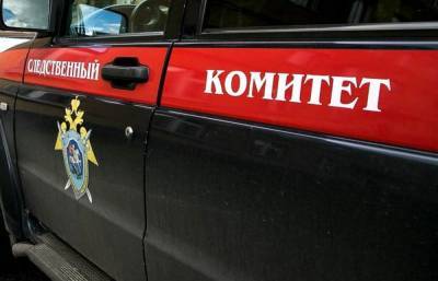 СК сообщил об окончании поисков 17-летней жительницы Тверской области