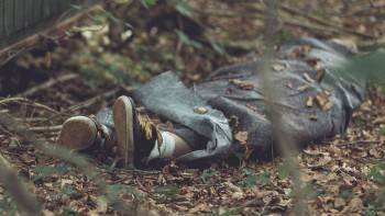 В череповецком лесу найден труп пропавшего мужчины