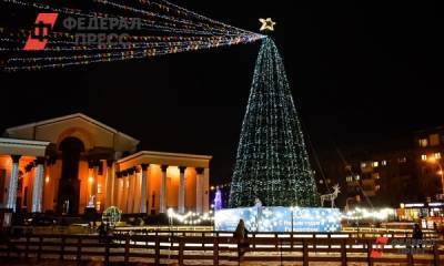 Во Владивостоке решили, кто украсит главную новогоднюю елку города