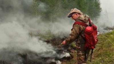 Новости на "России 24". К 1 сентября кабмин должен выделить допсредства на тушение лесных пожаров в регионах