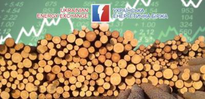 УЭБ: Торги необработанной древесиной пройдут с 10 по 13 августа 2021