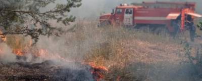 В Башкирии задержан подозреваемый в пяти поджогах, которые привели к лесным пожарам