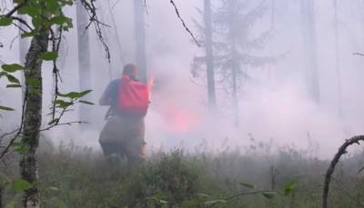 Пульмонологи: Пожары в Якутии могут обернуться катастрофой для больных COVID-19