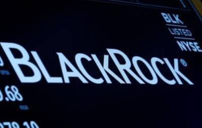 Коронавирус может нанести необратимый ущерб развивающимся рынкам - BlackRock
