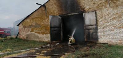 В селе Рясное Ростовской области в сеннике произошел пожар на площади в 2000 кв.м.