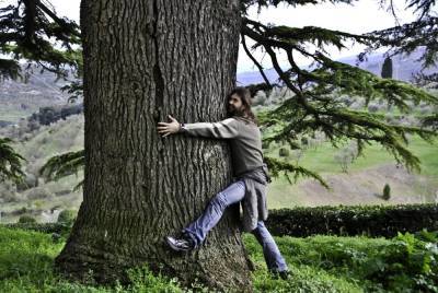 Астраханцы могут принять участие в чемпионате по обниманию деревьев