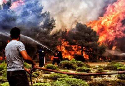 В Греции масштабные лесные пожары превратили деревья в пепел