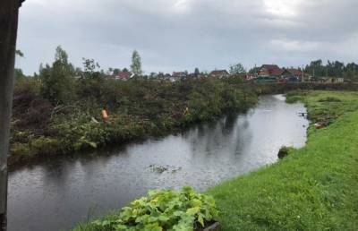 В Андреаполе Тверской области началась расчистка русла реки Городня