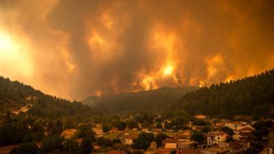 Власти Греции извинились за просчёты в ликвидации лесных пожаров