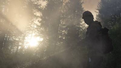 МЧС направит на тушение лесных пожаров в Якутию три самолёта