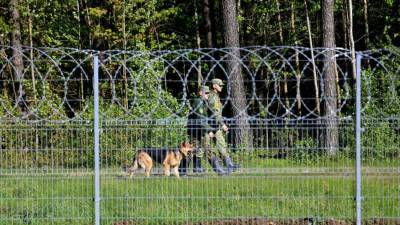 Парламент Литвы обсудит строительство металлического забора на границе с Белоруссией