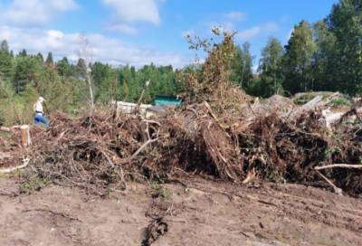В одном из СНТ Всеволожского района нашли свалку строительного мусора