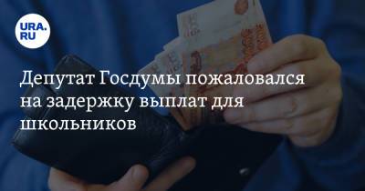 Депутат Госдумы пожаловался на задержку выплат для школьников