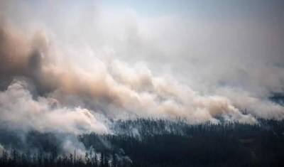 NASA: дым от сибирских лесных пожаров впервые в истории дошел до Северного полюса