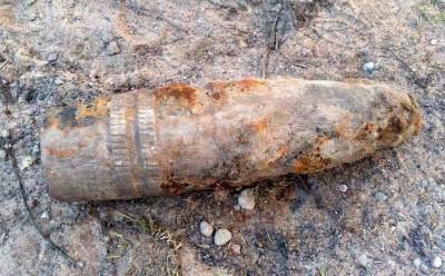В Вологде обнаружили два снаряда и две противотанковые мины