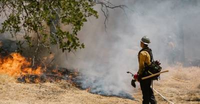 МЧС направит на тушение лесных пожаров в Якутии ещё три самолёта и 200 спасателей