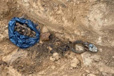 При раскопках в Тверской области нашли человеческие останки времён войны