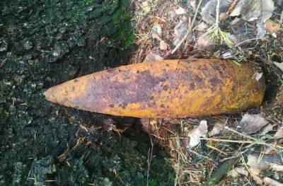У деревни под Тобольском нашли боевой артиллерийский снаряд