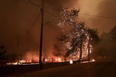 МЧС направит на тушение лесных пожаров в Якутии три самолета и 200 спасателей