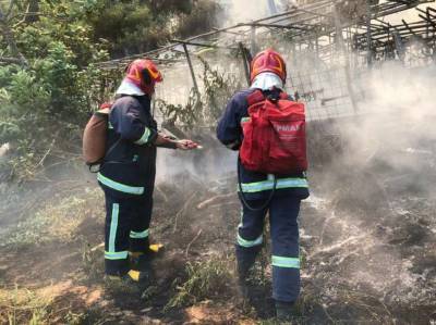 Появился репортаж из Греции, где украинские пожарные мужественно борются с масштабными пожарами (ВИДЕО)