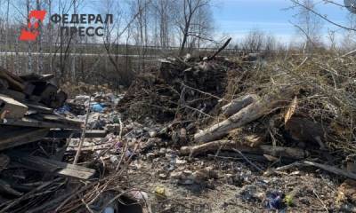 Окраину Екатеринбурга превратили в незаконную свалку