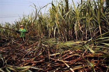 Сахар подорожал до максимума за 4 года из-за опасений неурожая в Бразилии