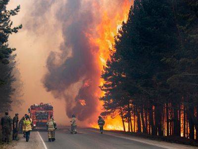 Лесные пожары в этом году охватили большую площадь, чем год назад