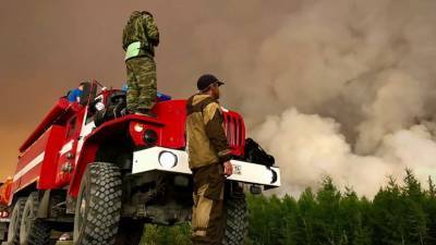 В Якутии рассказали о спасении пострадавших от пожаров животных