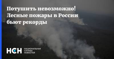 Потушить невозможно! Лесные пожары в России бьют рекорды