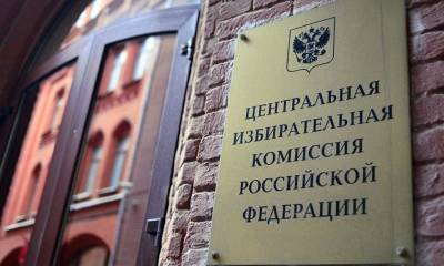 Визит спецкомиссии ЦИК в Петербург грозит чиновникам уголовными делами