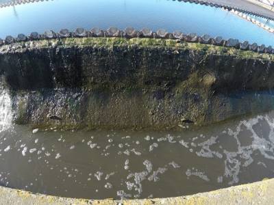 Нижегородский водоканал оштрафован за сброс в Волгу загрязненных сточных вод