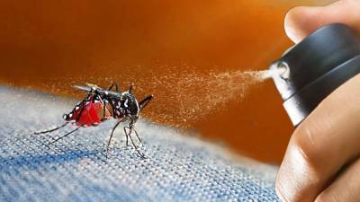 Какое лучшее средство от комаров: Эксперименты - techno.bigmir.net