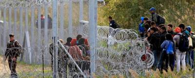 Латвия ввела режим ЧС на границе с Белоруссией из-за нелегальных мигрантов