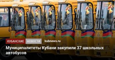 Муниципалитеты Кубани закупили 37 школьных автобусов