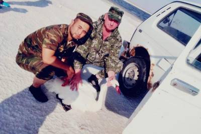 В Астраханской области на озере Баскунчак спасли четырех лебедей