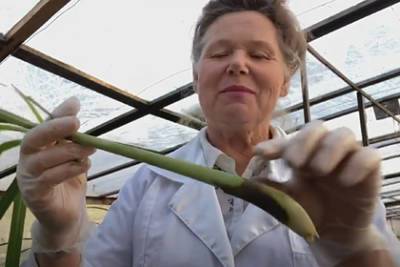 Семья агрономов из Новосибирска превратила собственный сад в успешный бизнес